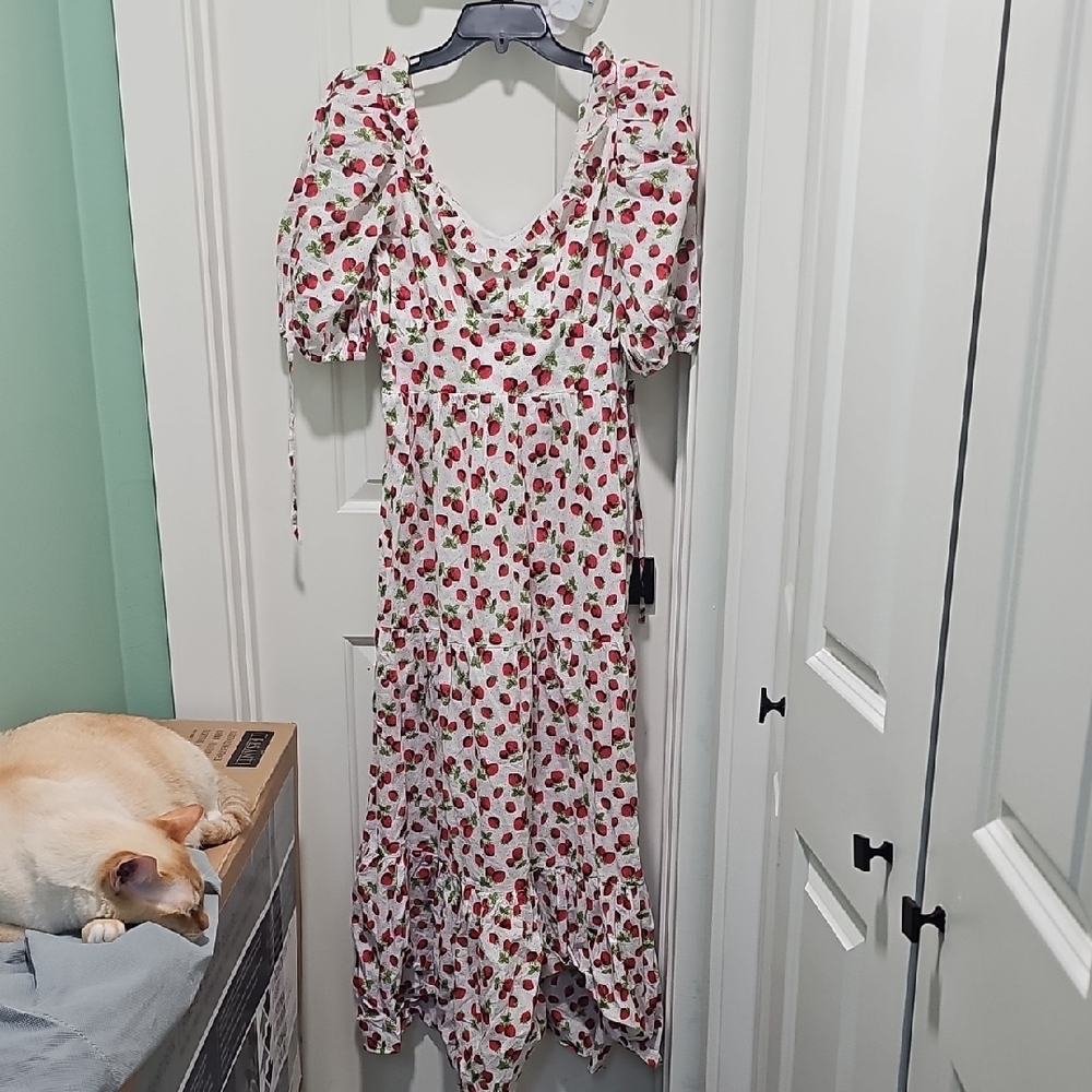 ASOS Strawberry Sleeve Spring Summer Maxi Dress 8